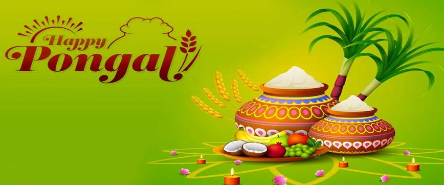 Pongal History, Wishes, Images, Messages, Wallpaper, Food