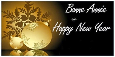 happy New-Year in French